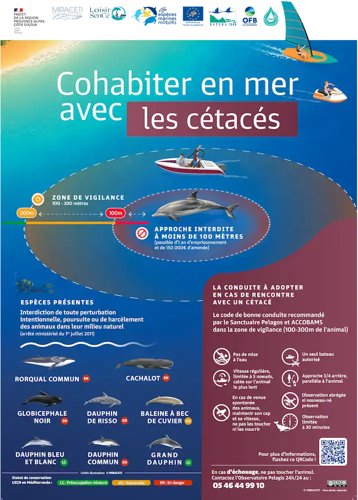 Affiche_LoisirSenCe